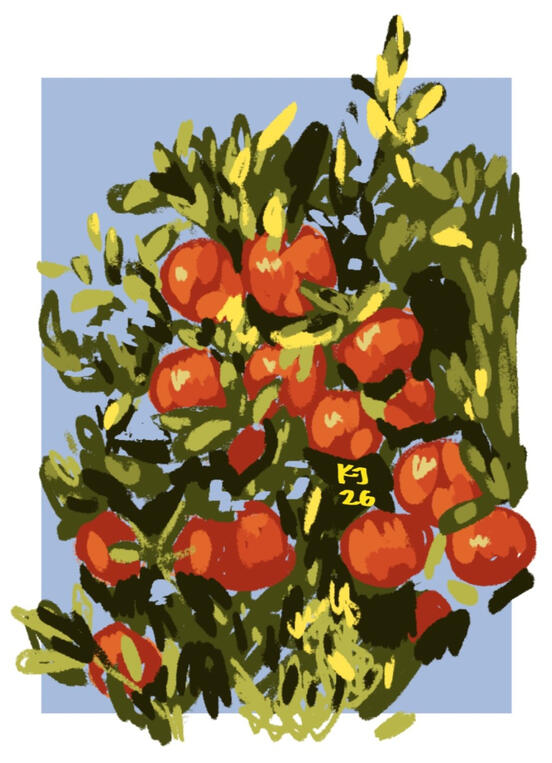 Digital Orange tree study 20277 Digital Orange tree study 20277