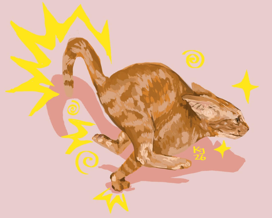 Digital Cat Study 2026 Digital Cat Study 2026